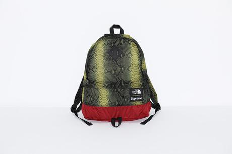 SUPREME X THE NORTH FACE – S/S 2018 COLLECTION