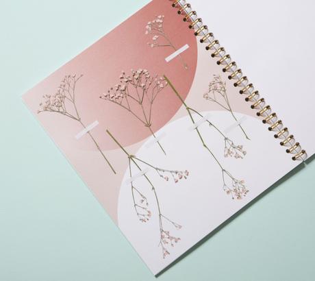 Passion fleurs et feuilles : et si on créait notre propre herbier ? Passion fleurs et feuilles : et si on créait notre propre herbier ?