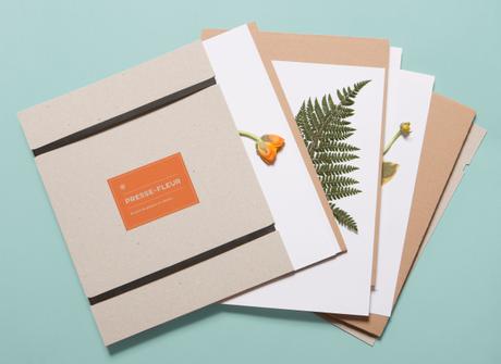 Passion fleurs et feuilles : et si on créait notre propre herbier ? Passion fleurs et feuilles : et si on créait notre propre herbier ?