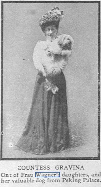 Bayreuth 1909. La Comtesse Gravina et son chien shih tzu ( 西施犬  ). (The Graphic 2)