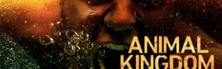 Critique Animal Kingdom saison 3 épisode 1 : back to business !
