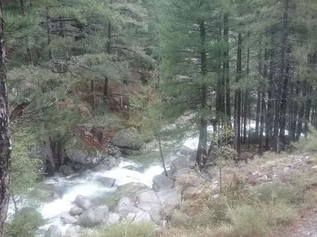 La France - la Corse