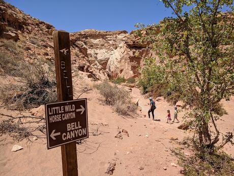 Jour 18 - Goblin Valley & Little Wild Horse Canyon [Traversée USA]