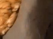 Pschit Session d'été