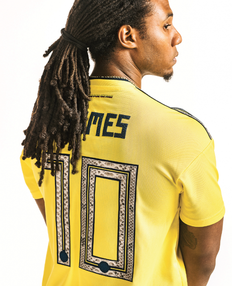 2018 Fifa World Cup x Renzo Cardoni