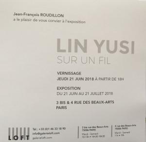 Galerie LOFT  exposition  LIN YUSI  » sur un fil  » 21 Juin/21 Juillet 2018
