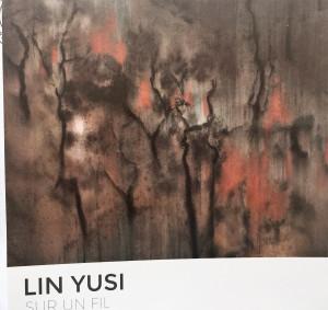 Galerie LOFT  exposition  LIN YUSI  » sur un fil  » 21 Juin/21 Juillet 2018