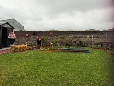 Retour sur l'atelier culture en cageot à Grenay