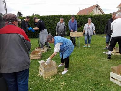 Retour sur l'atelier culture en cageot à Grenay