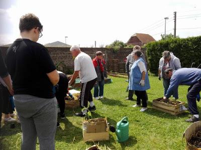 Retour sur l'atelier culture en cageot à Grenay