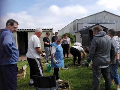 Retour sur l'atelier culture en cageot à Grenay