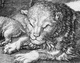 Durer 1514 Saint Jerome dans son etude tete lion