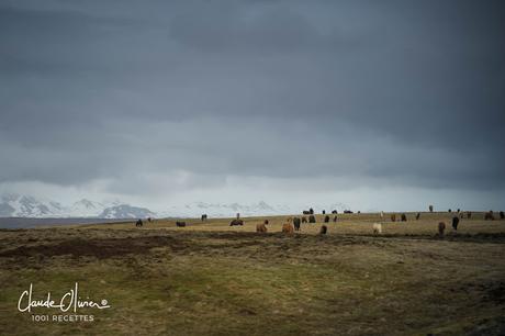 L'Islande, entre ciel et volcan: Partie 1