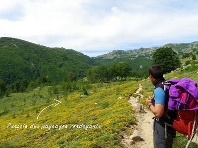 LA CORSE : Sélection de mes plus belles randonnées LA CORSE : Sélection de mes plus belles randonnées