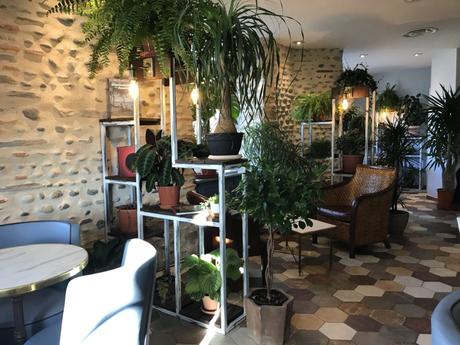 Maison Constanti - Boulevard Des Glaces - Salon de Thé - Pau - Un café avec Clémentine