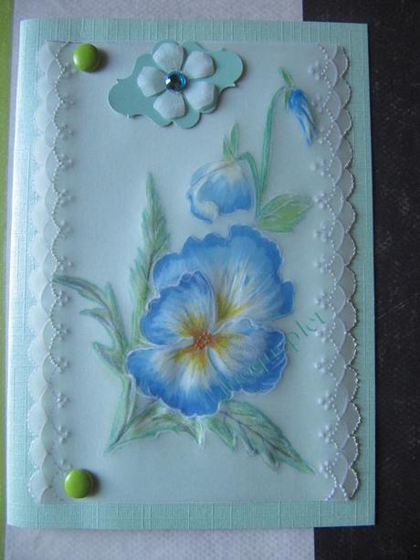 Mes ouvrages - mes cartes en perga -10