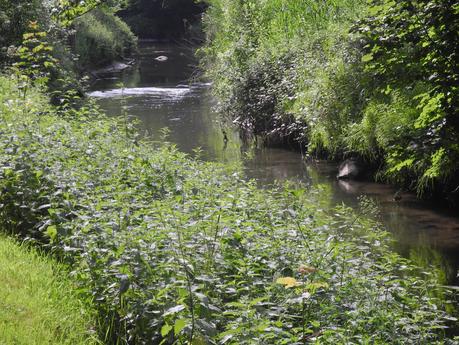 Espace naturel sensible DSCN7426