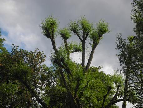 Espace naturel sensible DSCN7446