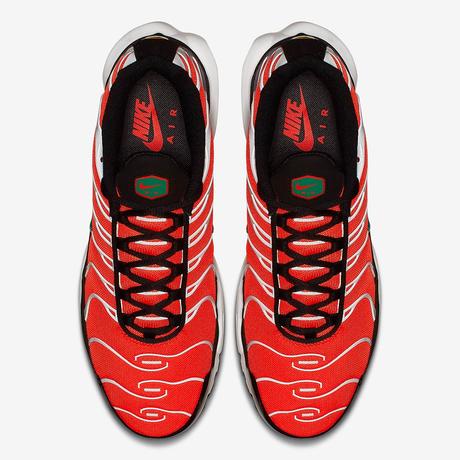 Nike Air Max Plus Orange Teal : preview Nike Air Max Plus Orange Teal preview