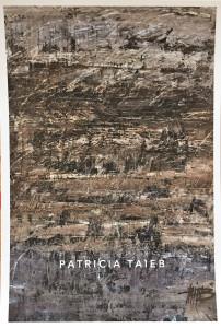 Galerie LEE  exposition Patricia TAIEB  14/30 Juin 2018