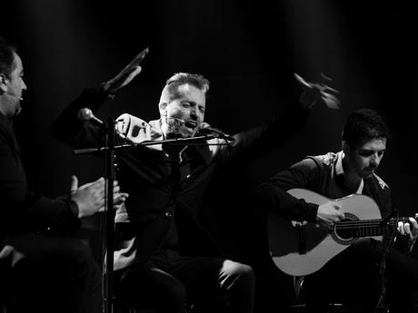 Eduardo Guerrero - Desplante - FlamencoFestival Esch-sur-Alzette