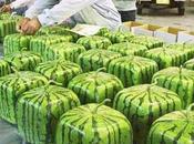 Retour vers l'agriculture proximité