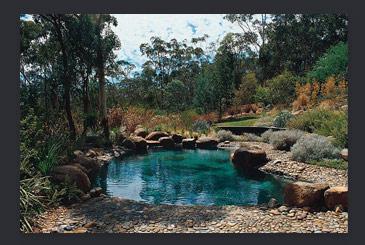 piscines exceptionnelles design