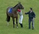 vidéo cheval jockey chute