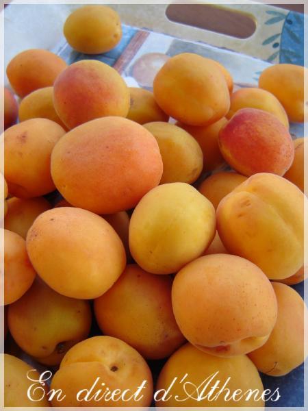 RETOUR DU MARCHE : Abricots et cerises