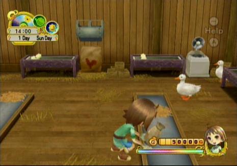 Harvest Moon Tree of Tranquility sur Wii c'est l'île de la tentation ?