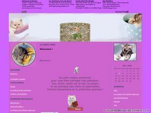 Un nouveau blog à découvrir