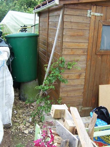 site d'accueil des futures toilettes seches