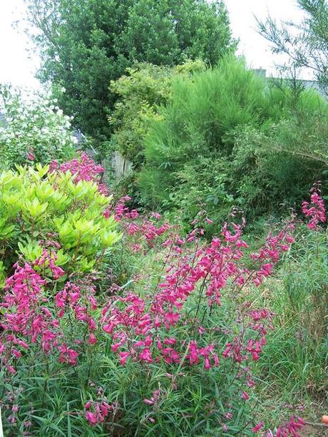 construction de toilette(s) sèche(s) : construction de toilette(s) sèche(s) :