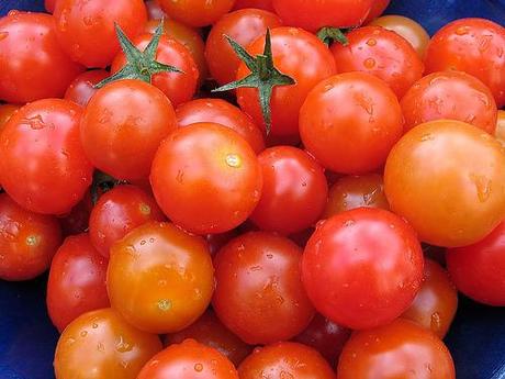 Mes petits secrets pour récolter plein de tomates cerises