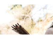 Westworld saison épisode Indiens, précurseurs