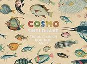 Cosmo Sheldrake Much