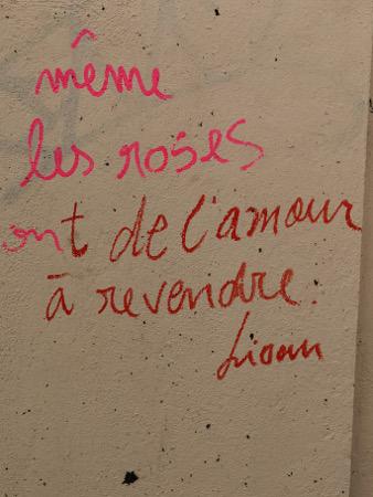 memelesroses.jpg, juin 2018 memelesroses.jpg