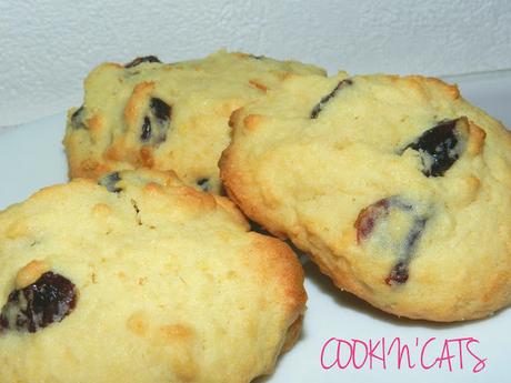 SABLES AMANDE-CRANBERRIES (sans lait, sans gluten) SABLES AMANDE-CRANBERRIES (sans lait, sans gluten)