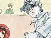 [Vidéo] Nouveau trailer pour l’adaptation animée manga Brigades Immunitaires (Hataraku Saibô)