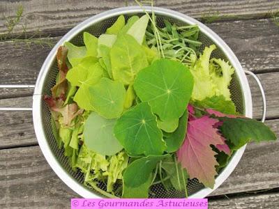 Repas complet Vegan et healthy (pois chiches, chou, salade) Repas complet Vegan et healthy (pois chiches, chou, salade)