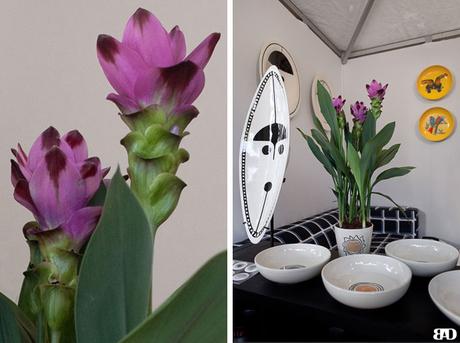 ★ Ma visite au salon : Vivre Côté Sud 2018, Aix en Provence Salon Vivre Côté Sud 2018 Aix en Provence