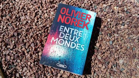 Entre deux mondes – Olivier Norek