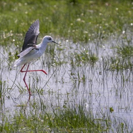[L’Intention Photographique – 3/4] 3 techniques puissantes à connaître