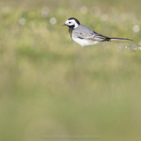 [L’Intention Photographique – 3/4] 3 techniques puissantes à connaître