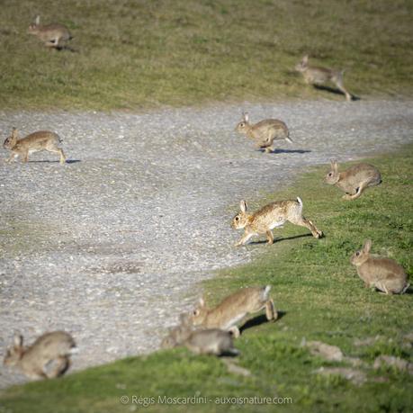 [L’Intention Photographique – 3/4] 3 techniques puissantes à connaître