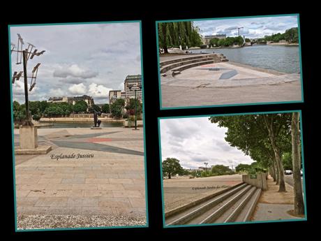 Danse sur les Quais de Seine Salsa Latino et Tango à Paris 2018 Les Quais de Seine Salsa-Latino-Salsanewz