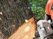 coupes dans aides sociales