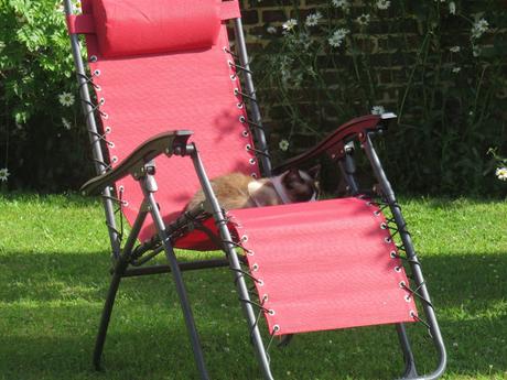 C'est l'été ! C'est l'été !
