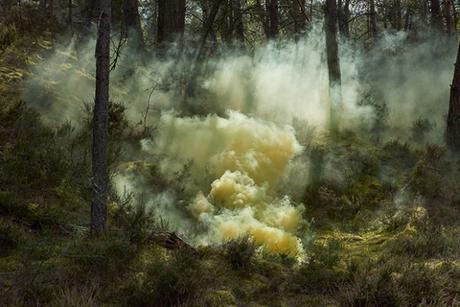 Blossom, une série de photographies où la fumée tient le premier rôle