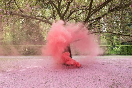 Blossom, une série de photographies où la fumée tient le premier rôle